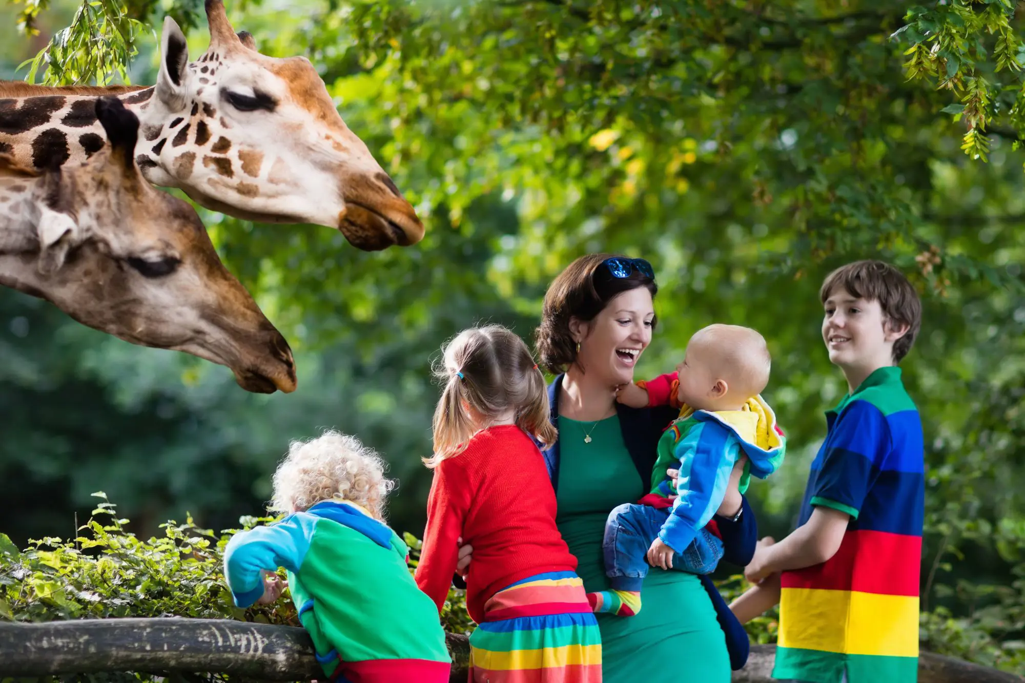 Family With Giraffe