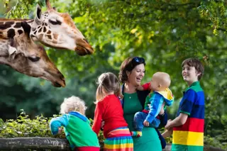 Family With Giraffe